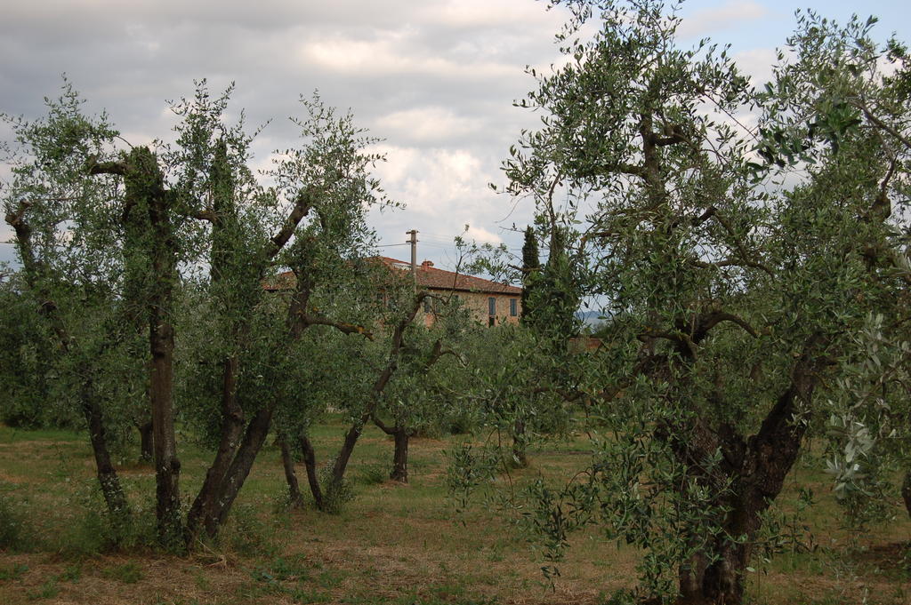 Podere Scaluccia Impruneta Exterior foto