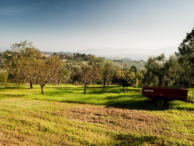 Podere Scaluccia Impruneta Exterior foto